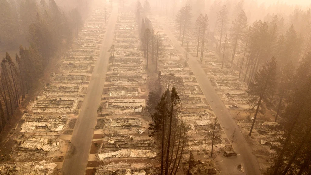 Post Incendio Camp Fire in California settentrionale